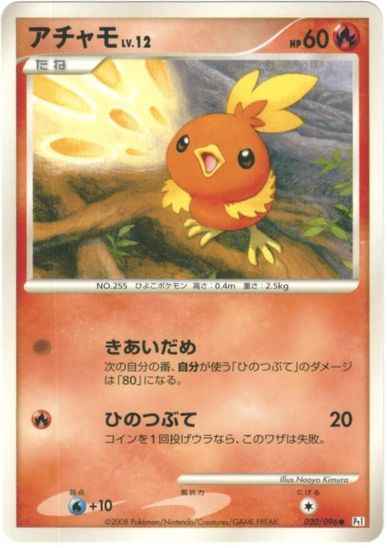 Torchic