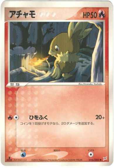 Torchic