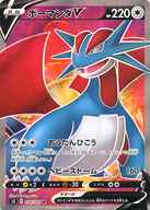 Salamence V 108/100 SR Foil